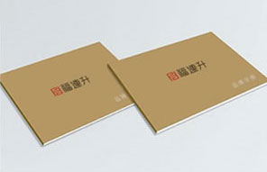 福連升休閑鞋門店手冊(cè)