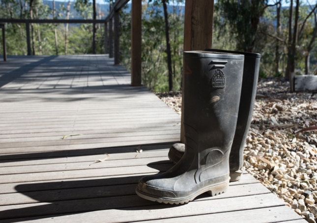 勞保鞋-什么是勞保鞋