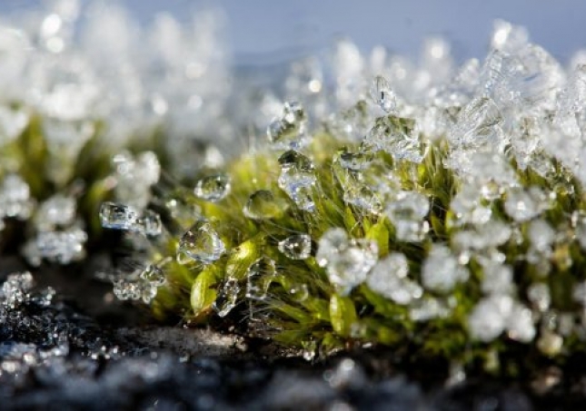 冬春過(guò)渡中年人穿鞋悶?zāi)_如何是好？什么鞋子保暖又透氣？